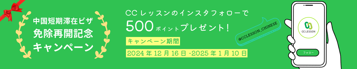 VISA解禁キャンペーン